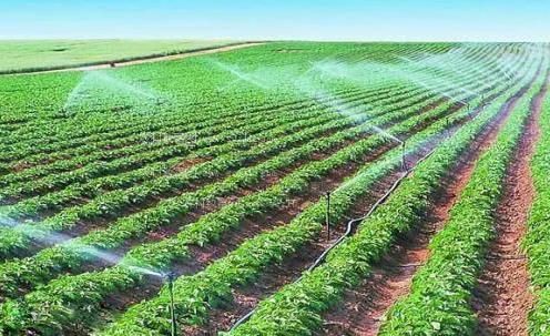 漏屄的视频农田高 效节水灌溉